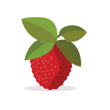 Lychee or litchee flat icon, litchi or leci image, lychee fruit vector illustration design template elements