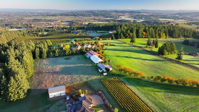 A Sweeping Aerial Shot Captures A Luxurious Estate Amid Vibrant Vineyard Rows, With A Backdrop Of Lush Countryside. - Sherwood, Oregon