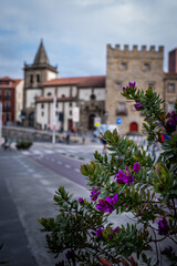 Fototapeta na wymiar Gijón's plaza, a cultural landmark with purple flowers and ancient architectural treasures.