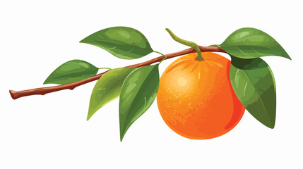 An orange fruit from a branch of a ripe tree flat vector
