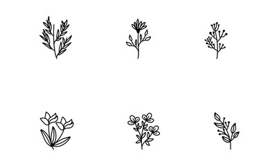 Botani Flower Vectors Icon Set