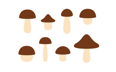 Mushroom illustration set. Boletus mushroom. Flat mushrom icons.