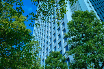 高層ビル　緑の木