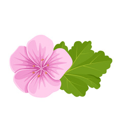 Vector illustration, pink geranium, with green leaves, isolated on white background.