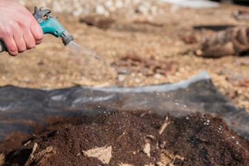 Watering rich compost soil in tarp with hose in yard.  Light spray of water.  Cardboard in soil.