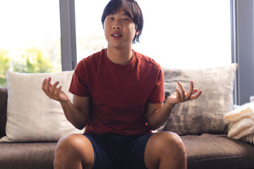 Teenage Asian boy sitting on couch at home, looking puzzled during a video call