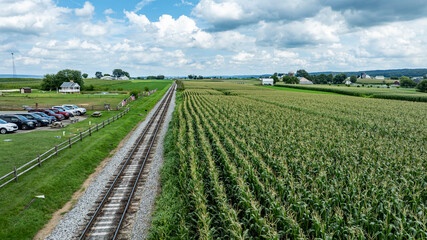 Fototapeta na wymiar Rural Train Tracks Beside Lush Cornfields