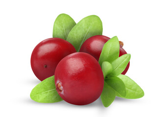 Fresh ripe cranberries with leaves isolated on white