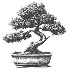 bonsai tree images using Old engraving style body black color only