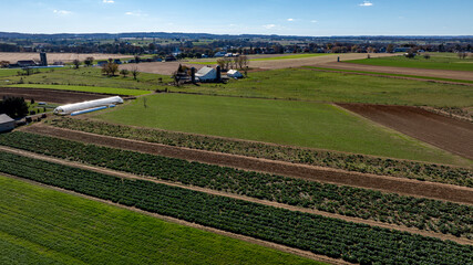 Verdant Patchwork of Lancaster Farmland