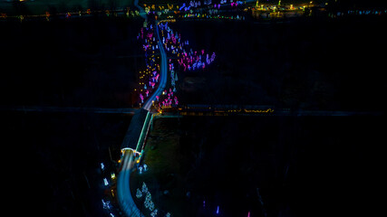 Elevated Nighttime View Of A Curving Road Lined With Neon-Lit Trees Leading To A Distant Cluster