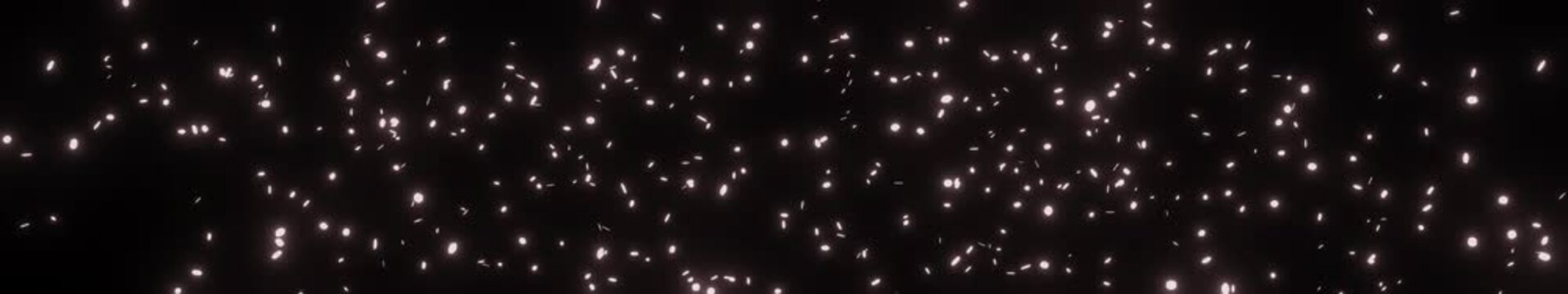 falling cherry blossom petals widescreen / alpha channel / loop animation