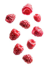 Falling raspberries over isolates white transparent background