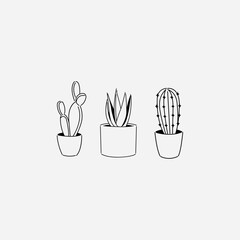 Vector illustration, ornamental plant, black and white color