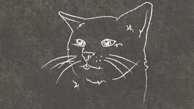 yawning cat, hand drawn frame-by-frame rotoscope animation