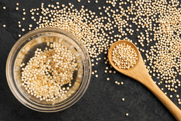 Quinoa seeds fermented with water in glass bowl - Chenopodium quinoa