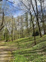 Spring landscape with green grass and trees in the park under blue sky