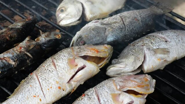 Close-up shot of cooking fish. Baking and roasting marinated fish on barbecue grill. Sea bass or grouper grilled over charcoal. 4K	

