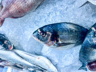 Fresh fish on ice for sale in the market. Top view.