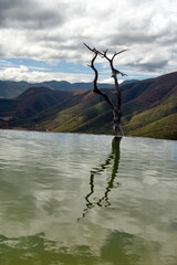 Dead tree and its reflection in a pool surrounded by mountains at Hierve el Agua in San Lorenzo Albarradas,  Oaxaca, Mexico