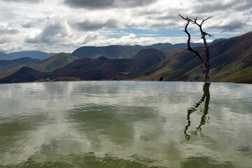 Dead tree and its reflection in a pool surrounded by mountains at Hierve el Agua in San Lorenzo Albarradas,  Oaxaca, Mexico