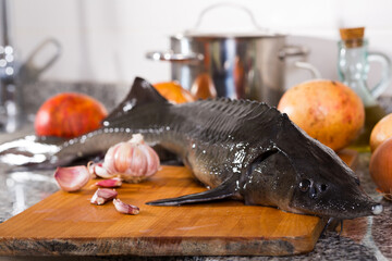 Fresh sturgeon with pomegranates and spices on stone kitchen table