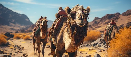 Foto op Plexiglas Camels in the desert Travel and adventure concept. © WaniArt