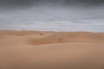 Fototapeta na wymiar The Gobi desert landscape with the massive dunes and people far away