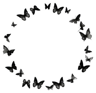 PNG Stroke outline butterflies frame animal circle black