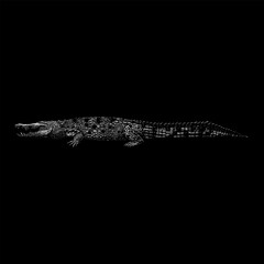 Orinoco Crocodile hand drawing vector isolated on black background.