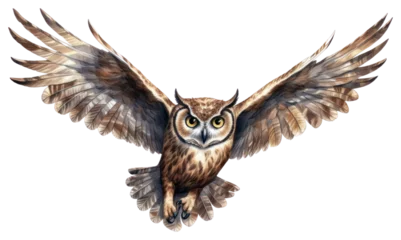 Badkamer foto achterwand PNG Animal bird owl creativity © Rawpixel.com