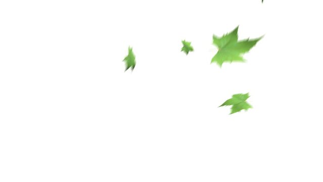 緑の大きな葉っぱが風に乗って落ちる3D動画(背景はアルファチャンネル付き)