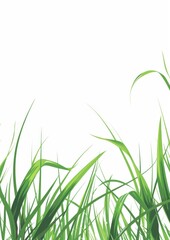 Elegant Green Grass Poster Template - Professional Vector Illustration for Stylish Designs