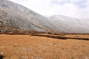 Tall yellowed grass on a wide clearing at the foot of a sloping cliff sprinkled with the first snow on a cloudy autumn day.