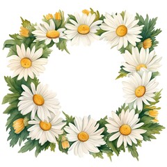 Fototapeta premium Round frame with chamomile flowers and leaves. Vector illustration.