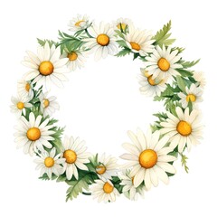 Obraz premium Watercolor floral wreath with chamomile flowers and leaves isolated on white background