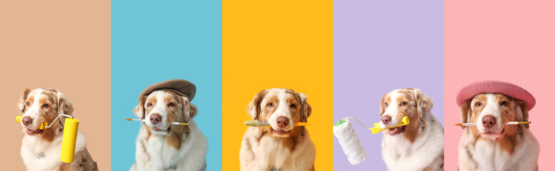 Set of cute dog with paint rollers and brushes on color background