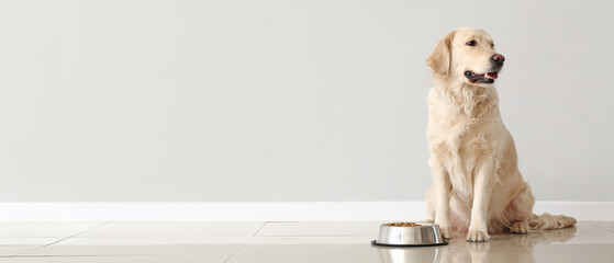 Cute dog and bowl with food near light wall