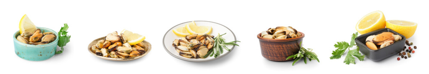 Set of tasty marinated mussels on white background