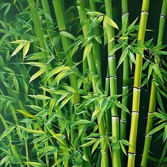 fresh bamboo forest with leaves