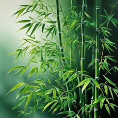 Fototapeta na wymiar fresh bamboo forest with leaves