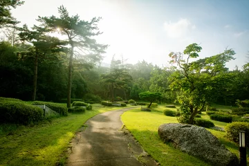Fotobehang 푸르른숲에 오솔길이 있는 산책로 © Cokr
