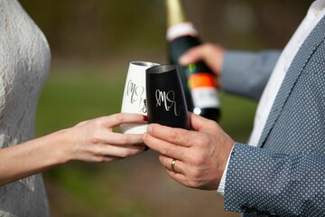 Newlyweds champagne toast, marriage celebration with bride and groom.