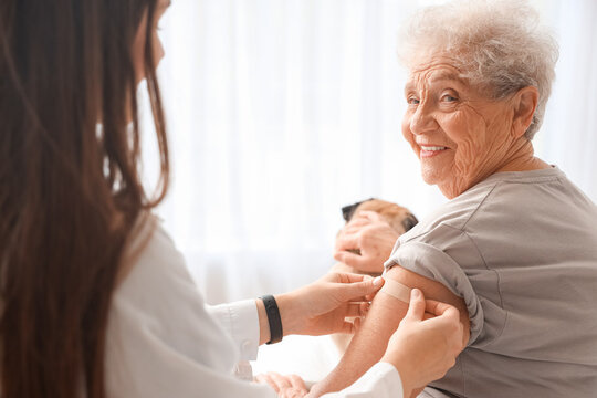 Female doctor applying plaster on senior woman with pug dog after injection in bedroom