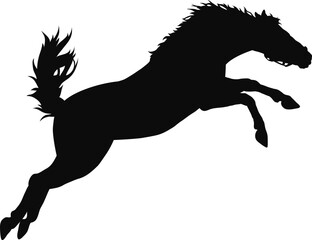 horse, silhouette, animal, vector, black, illustration, sport, riding, rider, equestrian, farm, animals, white, equine, running, isolated, stallion, horses, race, mare, mammal, pony, horseback, nature