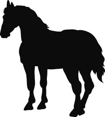 horse, silhouette, animal, vector, black, illustration, sport, riding, rider, equestrian, farm, animals, white, equine, running, isolated, stallion, horses, race, mare, mammal, pony, horseback, nature