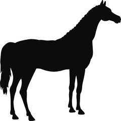 horse, silhouette, animal, vector, black, illustration, sport, riding, rider, equestrian, farm, animals, white, equine, running, isolated, stallion, horses, race, mare, mammal, pony, horseback, nature