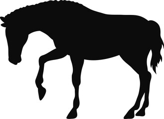 horse, silhouette, animal, vector, black, illustration, sport, riding, rider, equestrian, farm, animals, white, equine, running, isolated, stallion, horses, race, mare, mammal, pony, horseback, nature