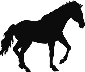 horse, silhouette, animal, vector, black, illustration, sport, riding, rider, equestrian, farm, animals, white, equine, running, isolated, stallion, horses, race, mare, mammal, pony, horseback, nature