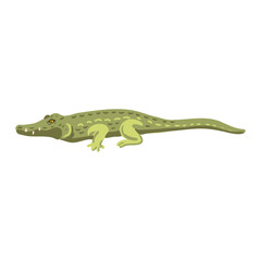 vector drawing green crocodile isolated at white background, hand drawn illustration